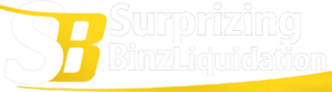 Surprising Binz